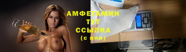 дмт Алзамай