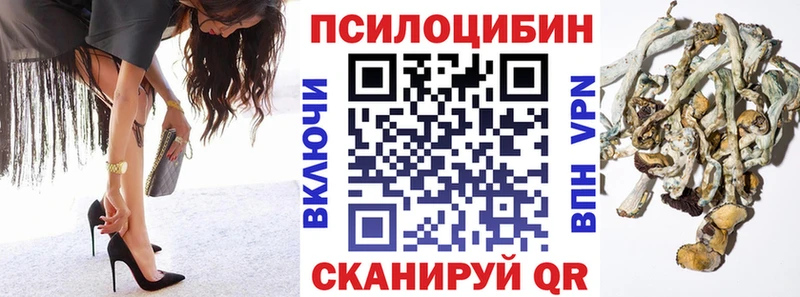 Псилоцибиновые грибы Cubensis  наркошоп  Красный Кут 