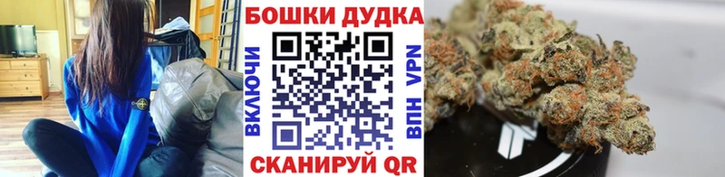 Канабис ГИДРОПОН  Красный Кут 